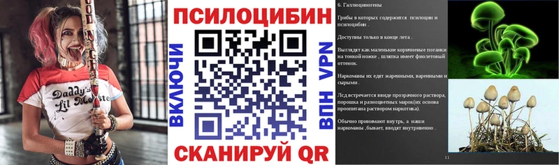 Псилоцибиновые грибы GOLDEN TEACHER  Дербент 